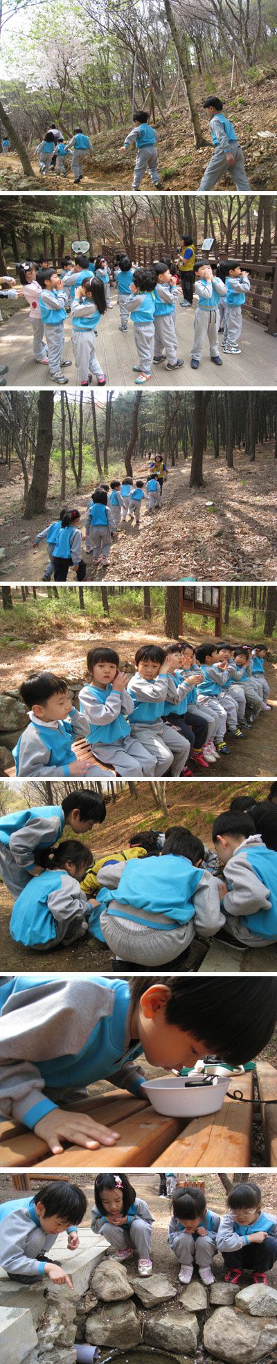 산림청 산하 녹색사업단 복권기금(녹색자금) 지원 녹색체험교육 "Fore School" (포레스쿨) : 4월 이야기 