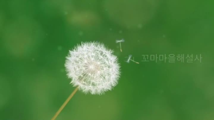 2017~2018 초등학생 마을해설사 활동을 통한 또래리더양성프로젝트 [보물찾기] 수료식