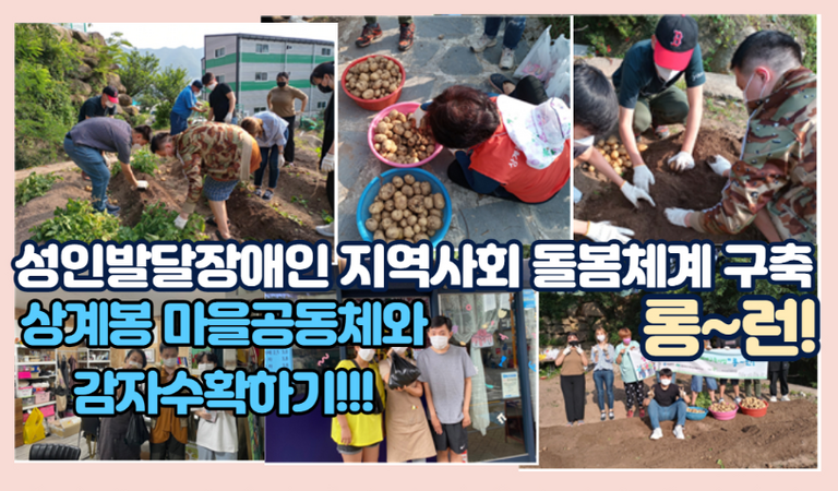  성인발달장애인 지역사회돌봄체계구축 