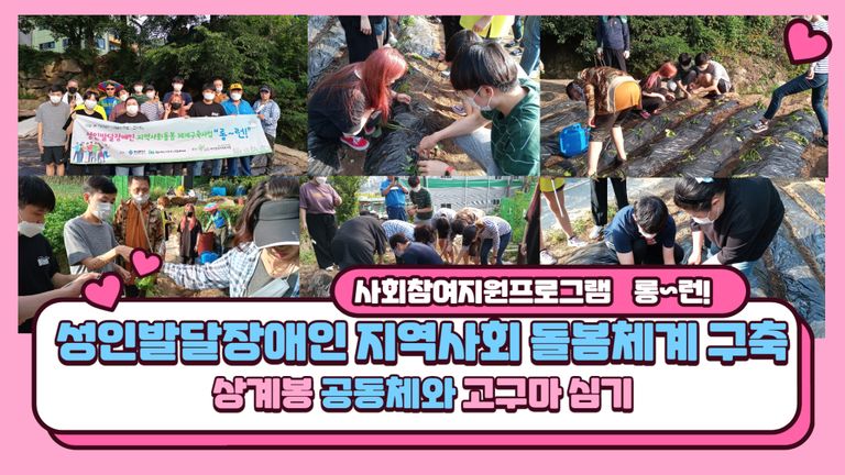  성인발달장애인 지역사회돌봄체계구축 
