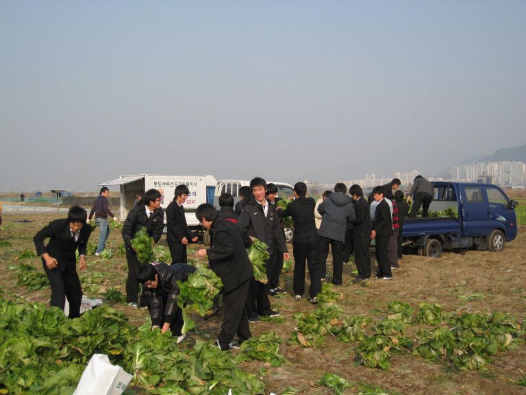 청소년자원봉사계절학교