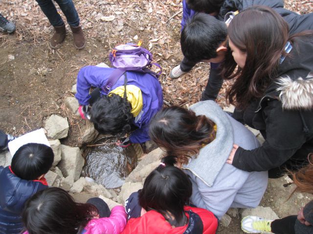산림청 산하 녹색사업단(복권기금) 지원 사업 녹색체험교육 "Fore School"(포레스쿨)